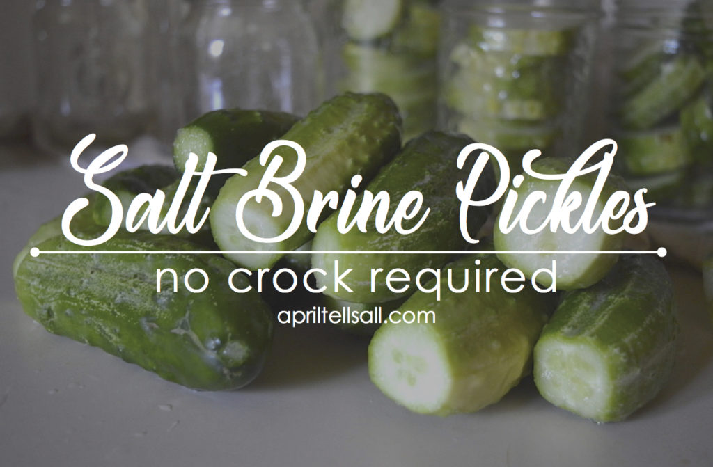 Salt Brine Pickles [no fancy equipment needed] April Tells All