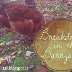 Breakdown in the Barnyard