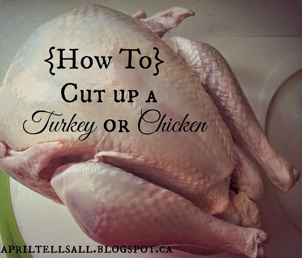How to Cut up a Turkey or Chicken