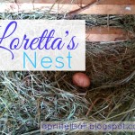 Loretta’s Nest