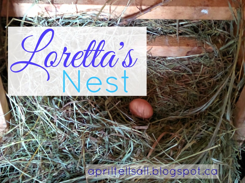 Loretta’s Nest