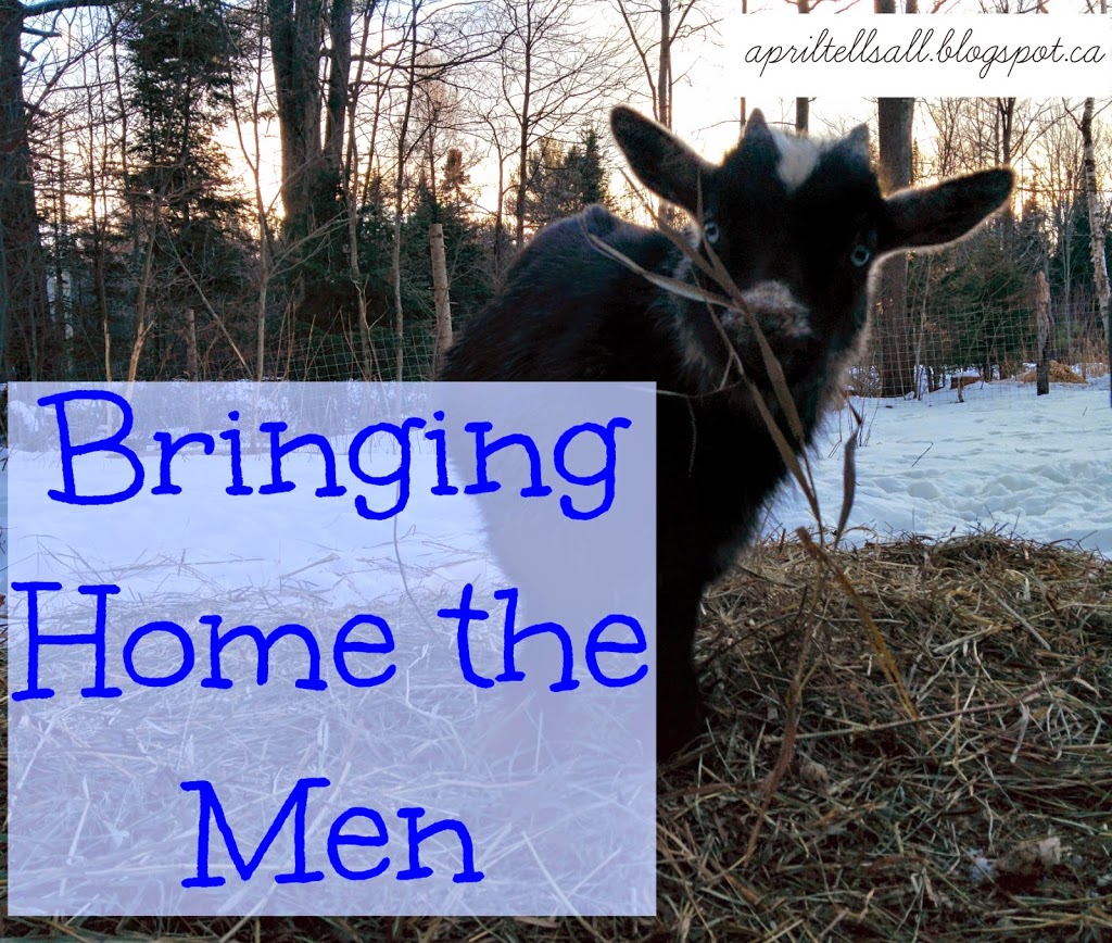 Bringing Home the Men