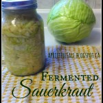 Fermented Sauerkraut