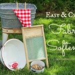 Easy and Cheap Fabric Softener