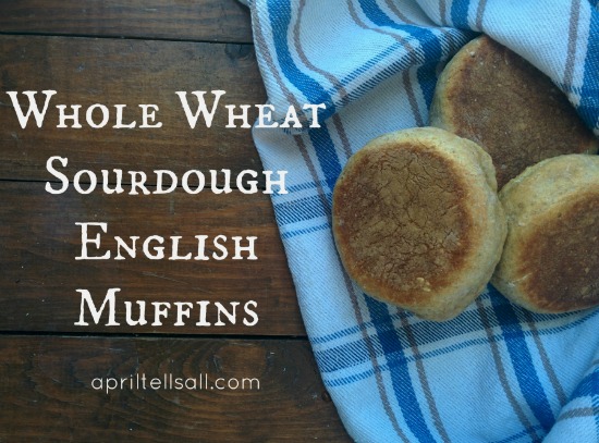 english muffins-sm