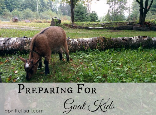 Preparing for Goat Kids