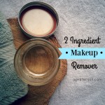 2 Ingredient Makeup Remover