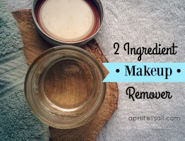 2 Ingredient Makeup Remover