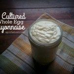 Cultured Whole Egg Mayonnaise