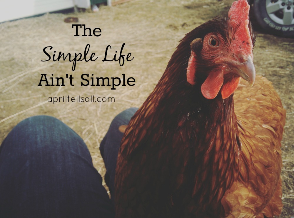 The Simple Life Ain’t Simple