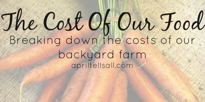 The Cost of Our Food