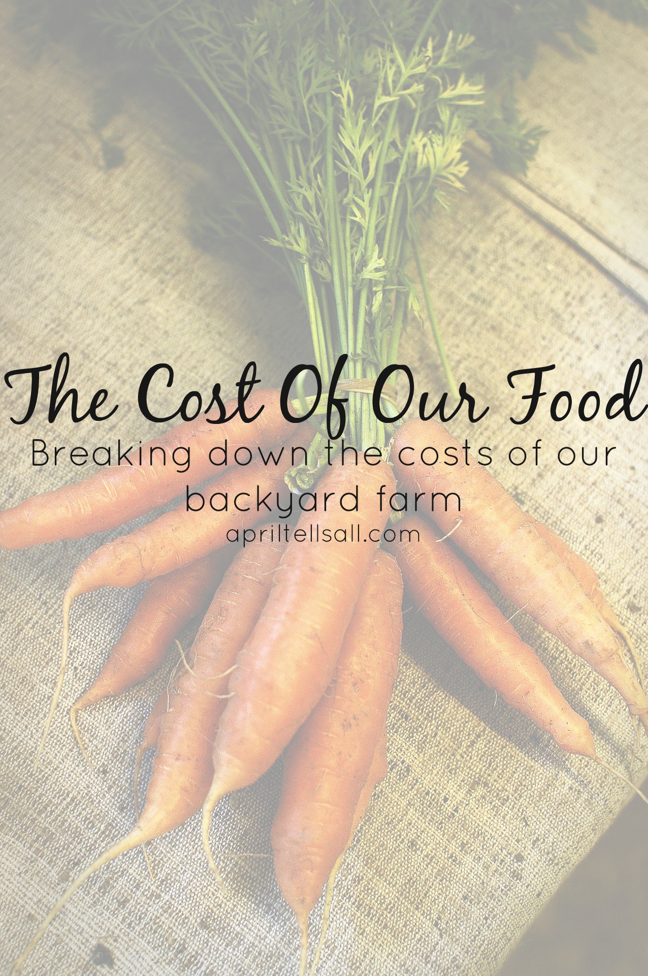 The Cost of Our Food