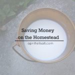 Saving Money On The Homestead