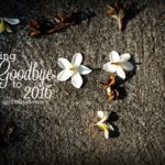 Saying Goodbye to 2016