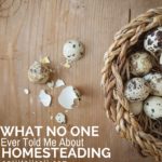 What No One Ever Told Me About Homesteading