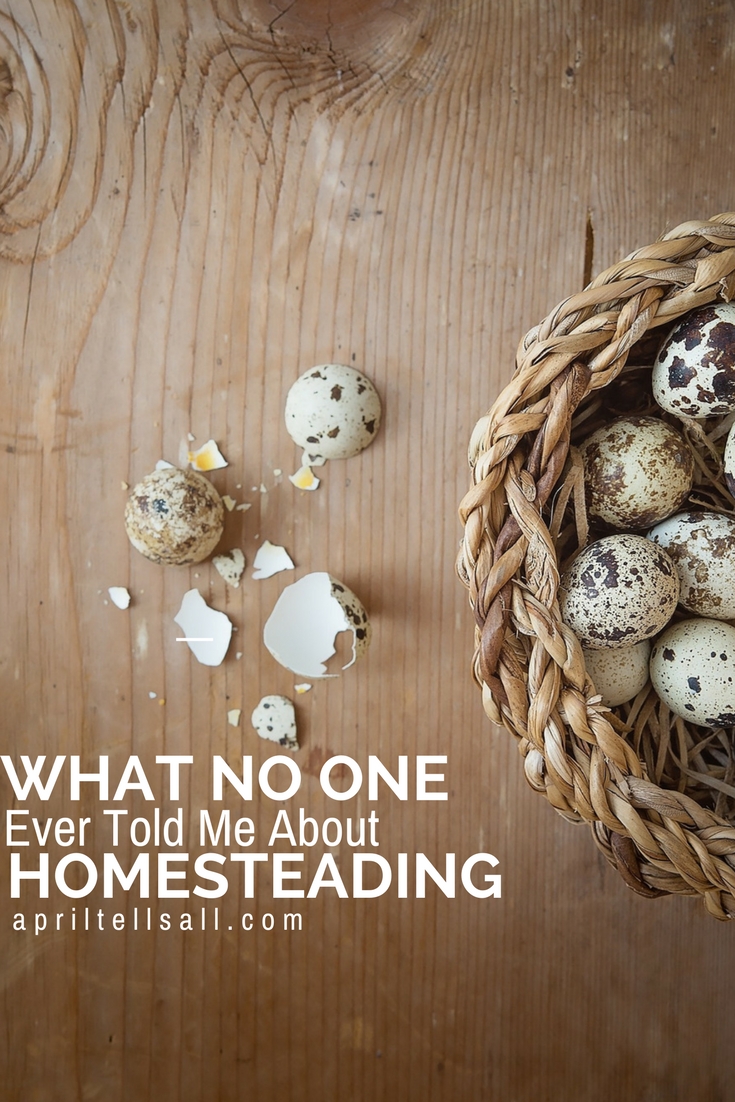 What No One Ever Told Me About Homesteading