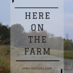 Here On The Farm…..