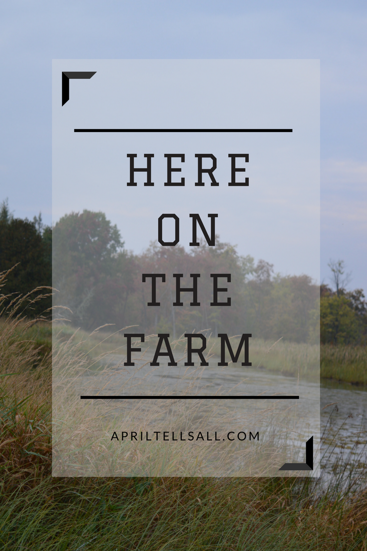 Here On The Farm…..