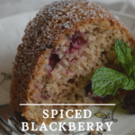 Spiced Blackberry Coffee Cake