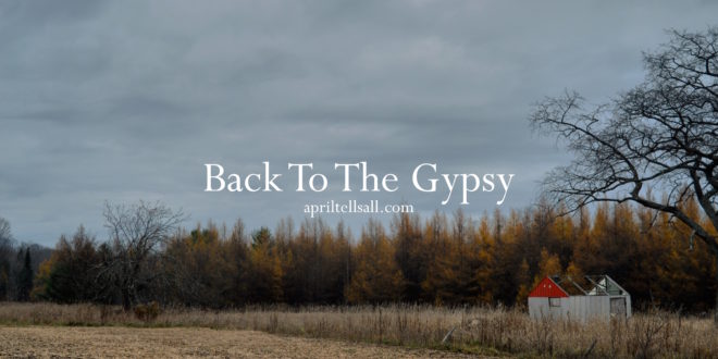Back To The Gypsy