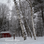 Goodbye, 3 Birch Farm