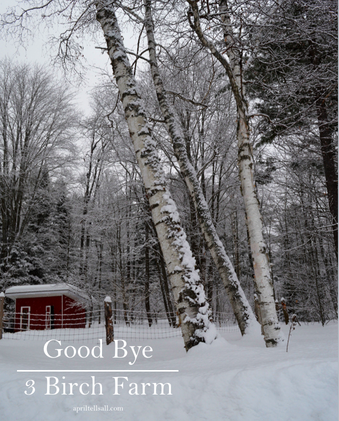Goodbye, 3 Birch Farm