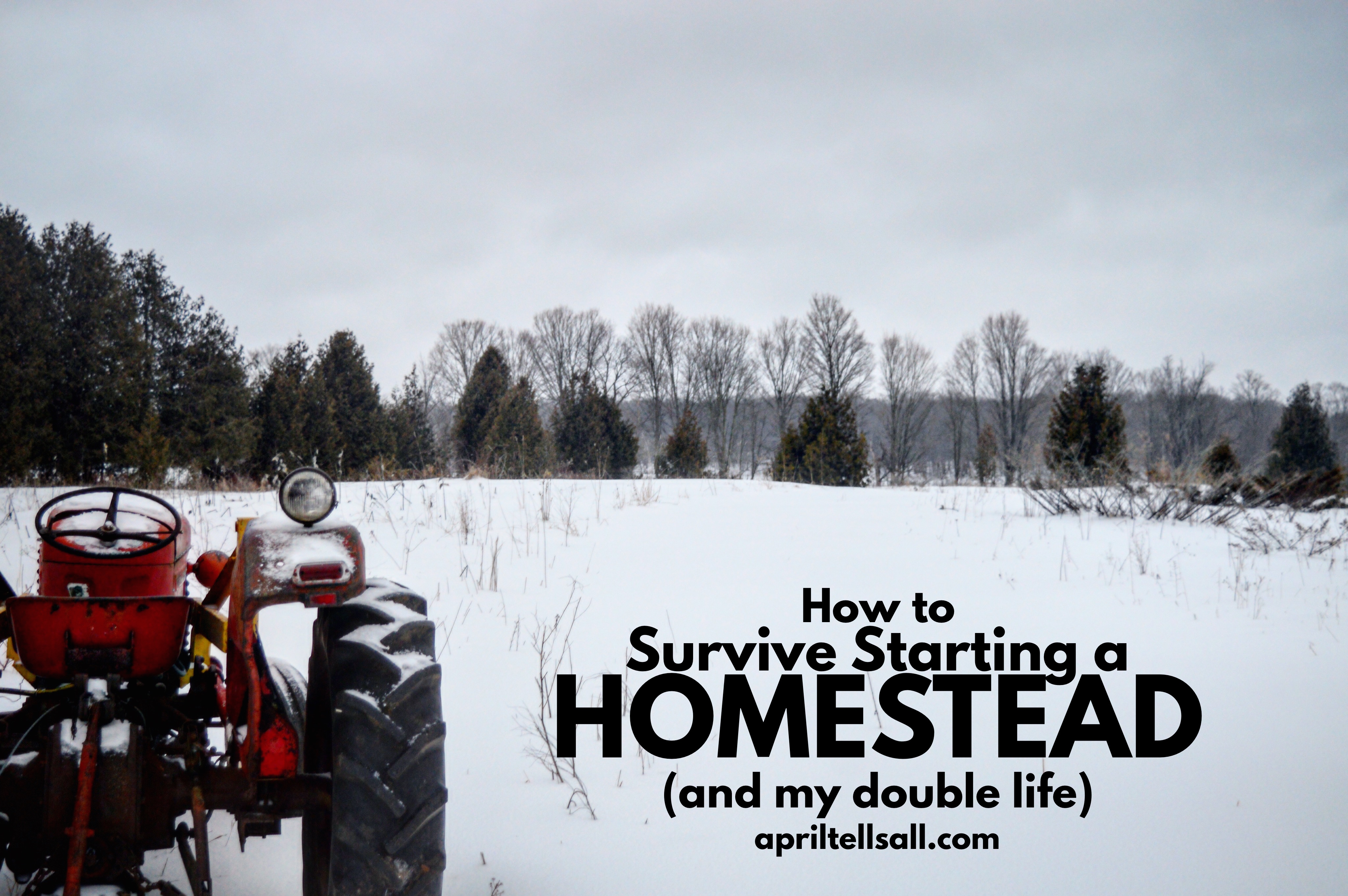 How to Survive Starting a Homestead (and my double life)
