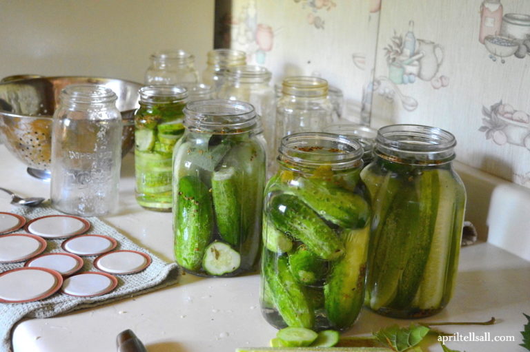 Salt Brine Pickles [no Fancy Equipment Needed] April Tells All