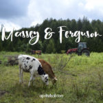 Massey & Ferguson
