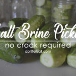 Salt Brine Pickles [no fancy equipment needed]