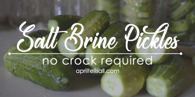 Salt Brine Pickles [no fancy equipment needed]