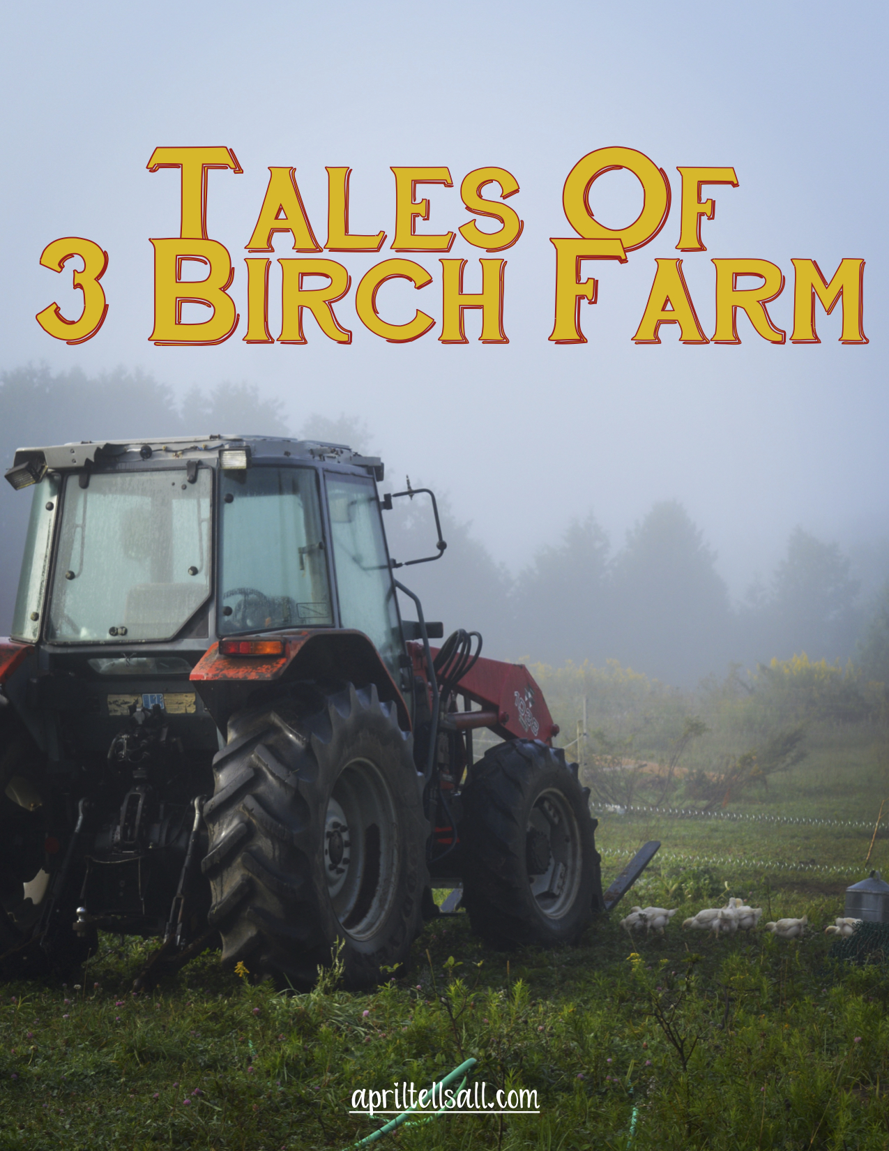 Tales of 3 Birch Farm: Stampede