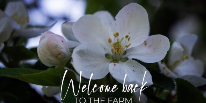 Welcome Back to the Farm